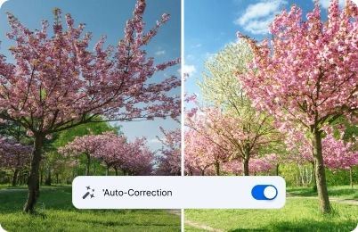 Before and after comparison showing inPixio auto color correction    brightening and enhancing a tree photo