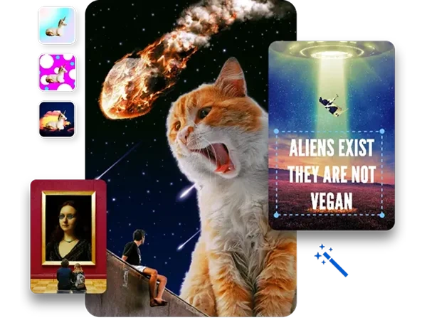Template montage showing playful scenes such as a cat in space, a man on a roof looking up at it, another with funny text, along with other design options.