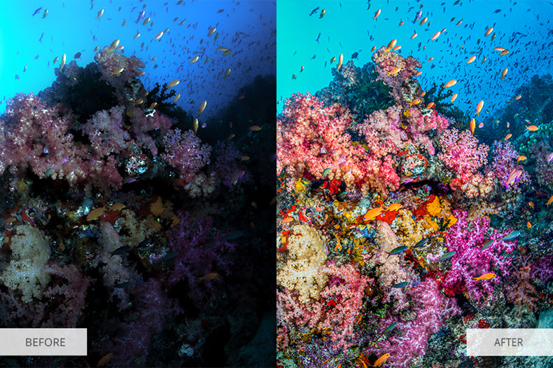 Before/after applying "underwater" preset