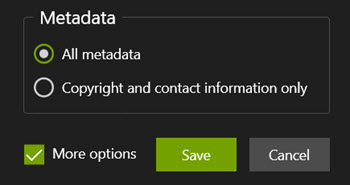 Metadata save options