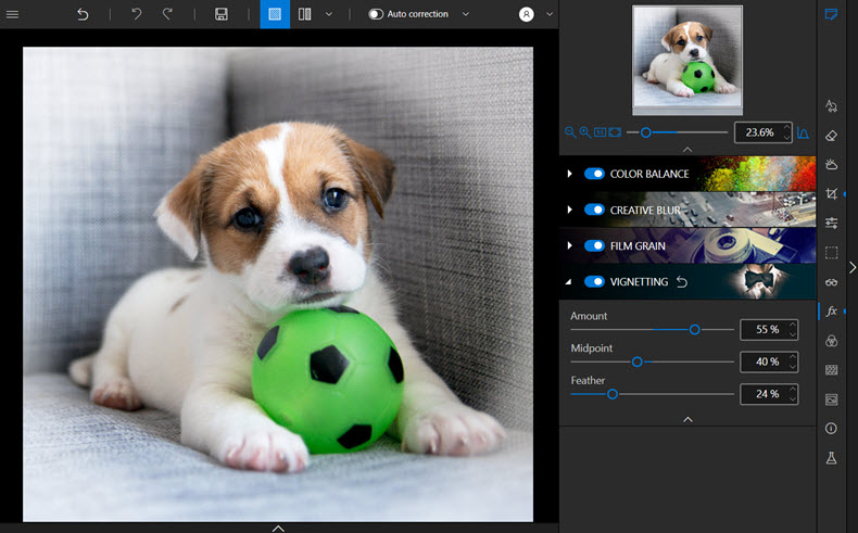Puppy with vignette effect shown in inPixio editor interface