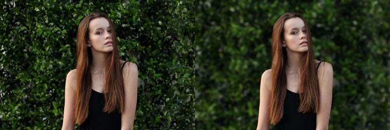 Woman in front of hedge before and after background blur